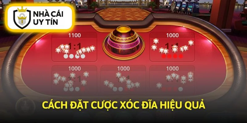 Chiến thuật cơ bản trong hướng dẫn chơi xóc đĩa