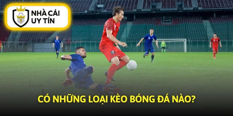 Các loại kèo quan trọng khi học cách đánh kèo bóng đá